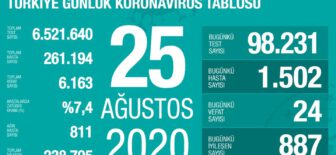 25 Ağustos 2020 Koronavirüs Tablosu
