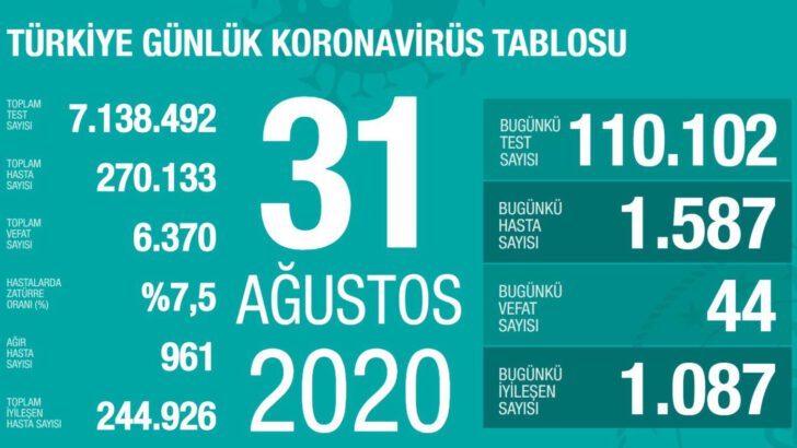 31 Ağustos 2020 Koronavirüs Tablosu