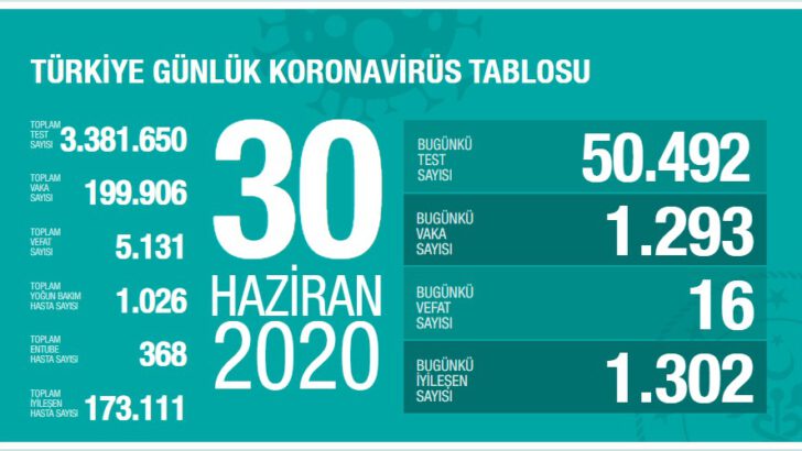 30 Haziran 2020 Türkiye Koronavirüs Tablosu